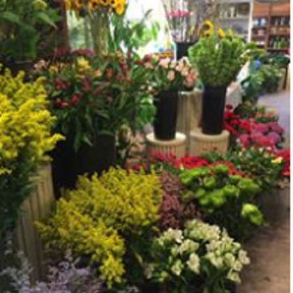 Nolans Flowers & Gifts | 258 Commonwealth Ave, Attleboro Falls, MA 02763, USA | Phone: (508) 695-7083