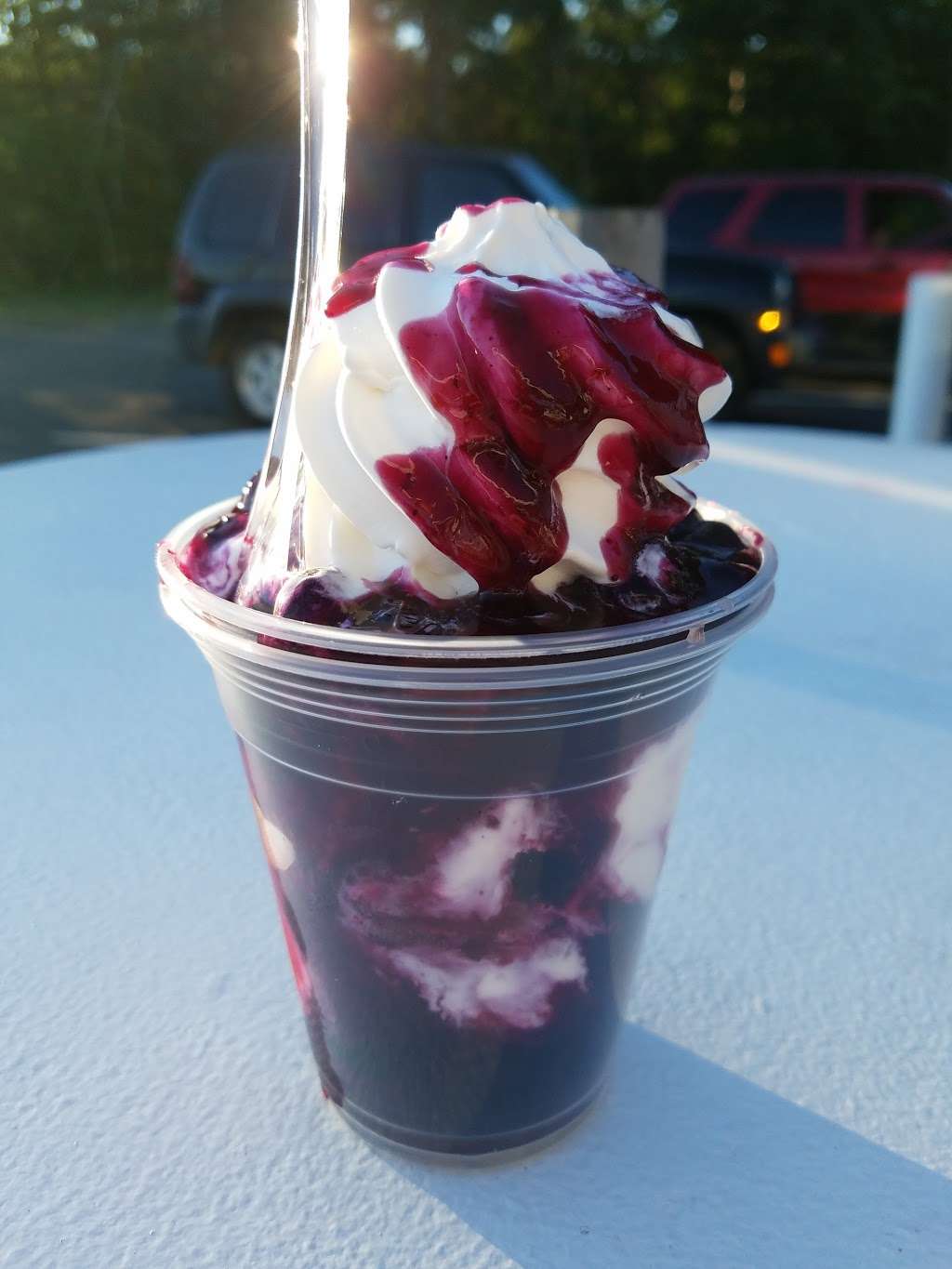 Royale Crown Homemade Ice Cream and Grille | 1051 S White Horse Pike, Hammonton, NJ 08037, USA | Phone: (609) 561-4423