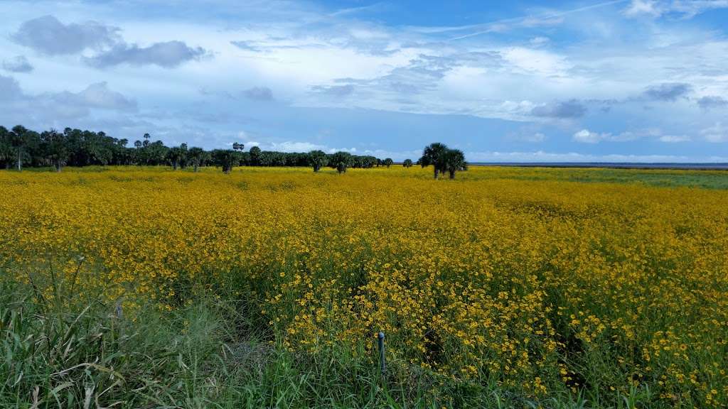 Lake Jesup Conservation Area | Sanford, FL 32773