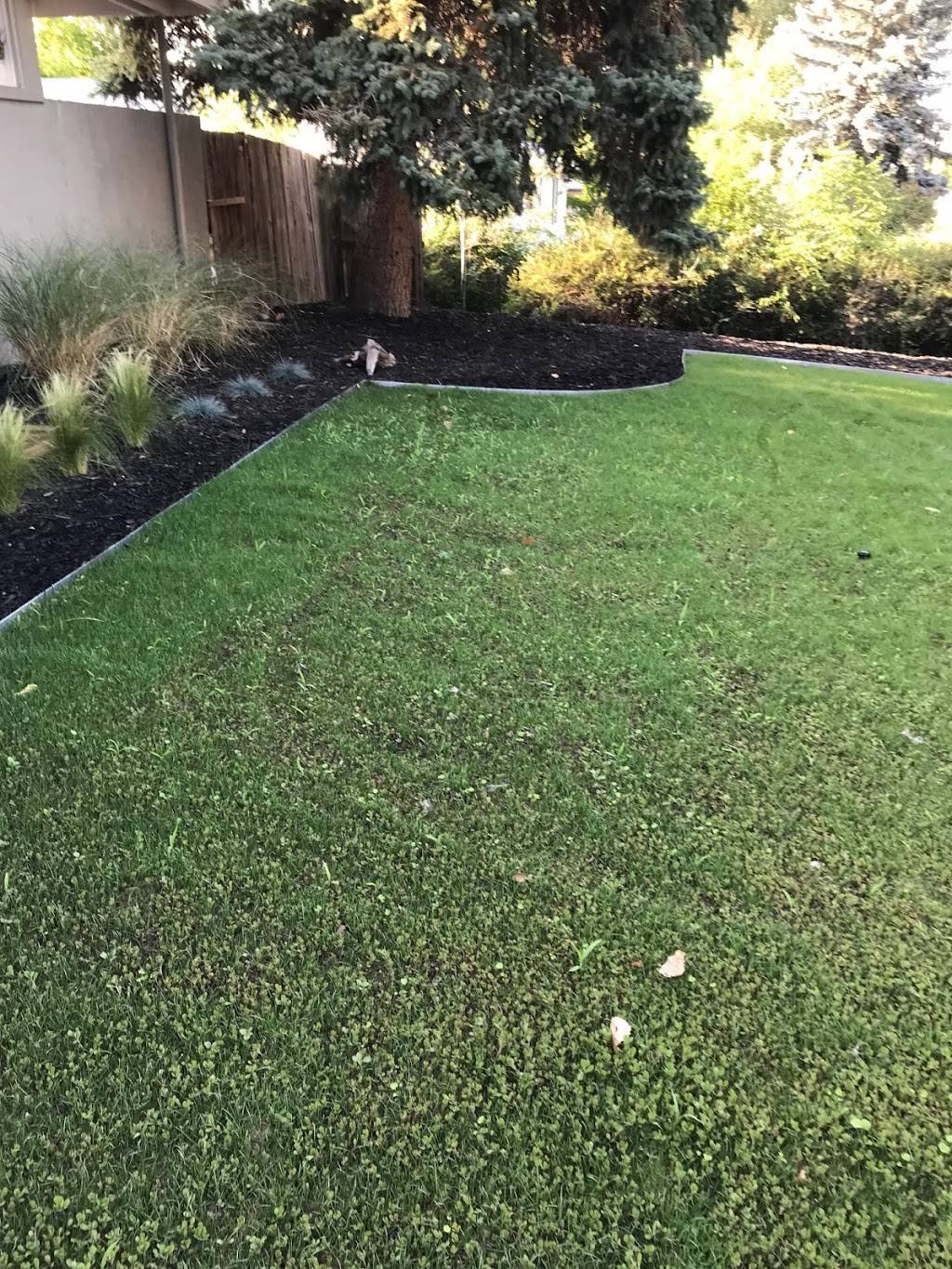 Fit Turf Lawn Tree Pest | 15467 E Hinsdale Cir, Centennial, CO 80112, USA | Phone: (303) 221-6900