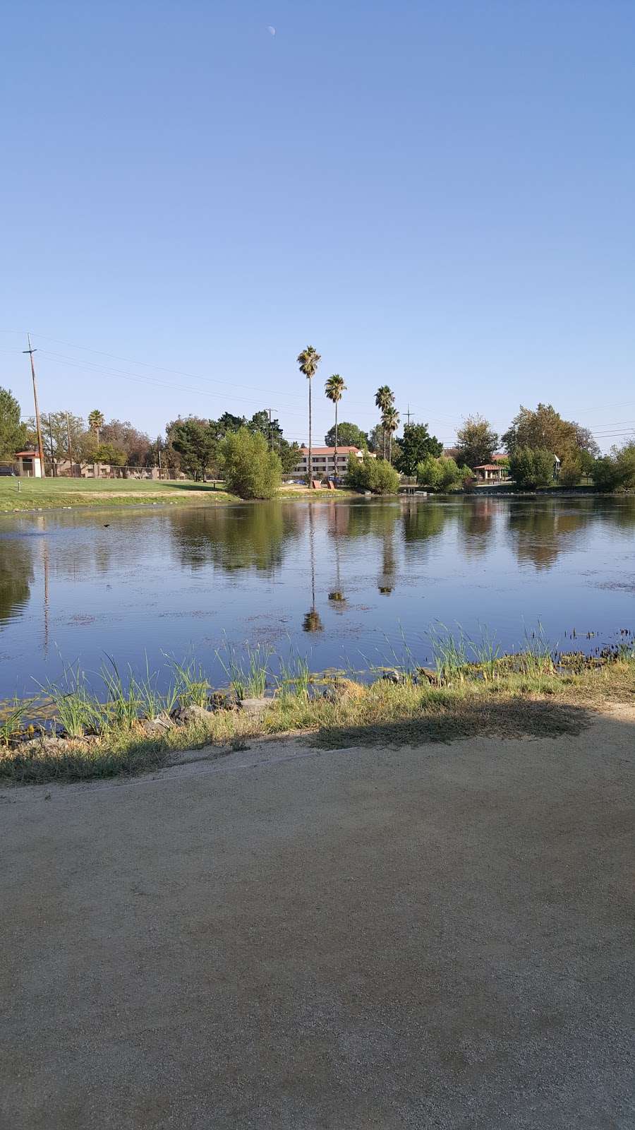 Duck Pond | 161-167 Collins Dr, Travis AFB, CA 94535, USA | Phone: (707) 207-3376