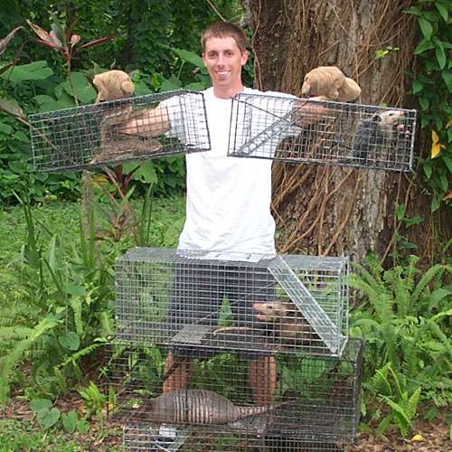 Orlando Wildlife Animal Trapper | 8456 Darlene Dr, Orlando, FL 32836 | Phone: (407) 378-6098