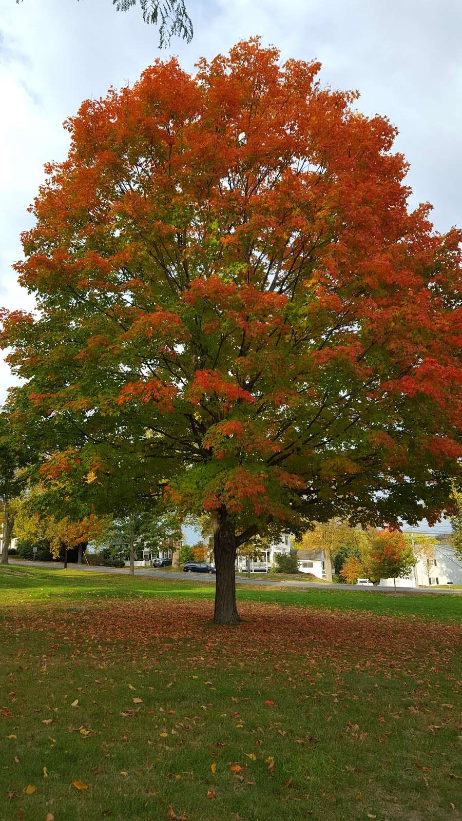 Harvard Unitarian Universalist Church | 9 Ayer Rd, Harvard, MA 01451, USA | Phone: (978) 456-8752