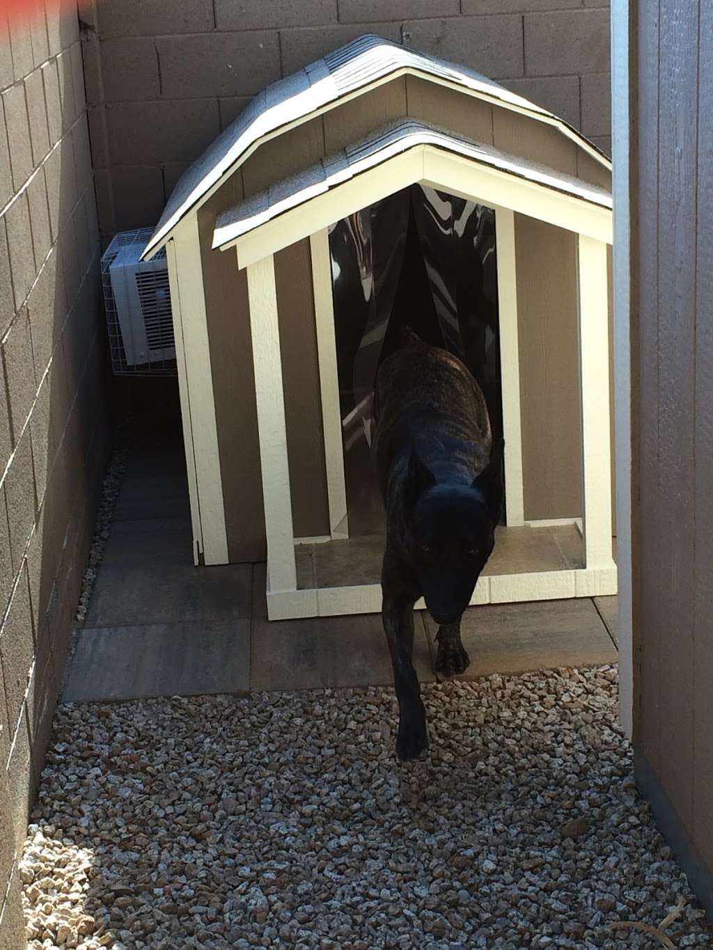 Ricky Lees Air Conditioned Dog Houses | 5023 N 54th Ave, Glendale, AZ 85301, USA | Phone: (623) 986-7430