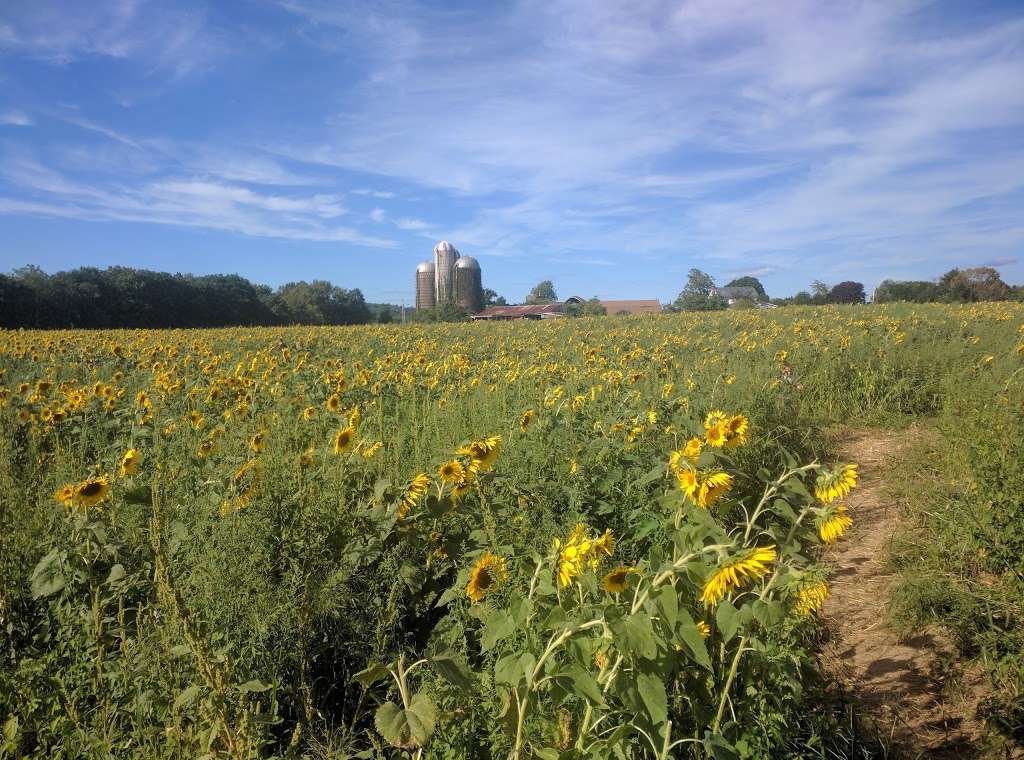 Blackburn Growers & Garden Center | 46 US-206, Branchville, NJ 07826, USA | Phone: (973) 948-3700