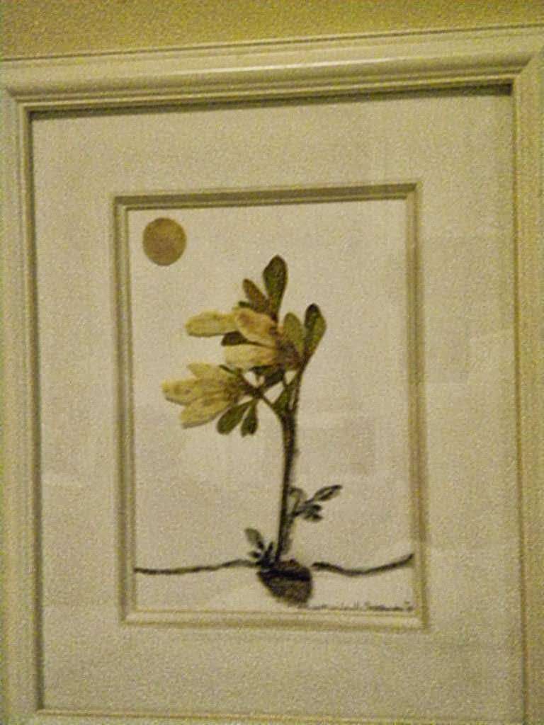 Sumi Earth Art | 19 Standish Ct, Plymouth, MA 02360, USA | Phone: (508) 830-3630