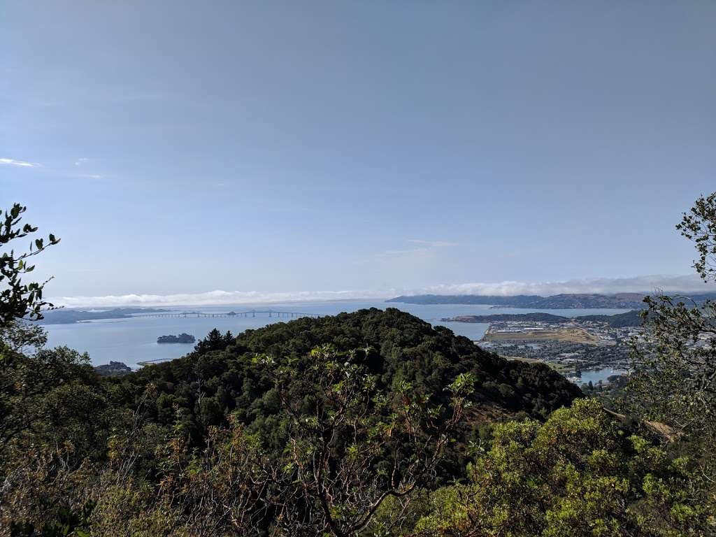 Harry Barbier Memorial Park | San Rafael, CA 94901