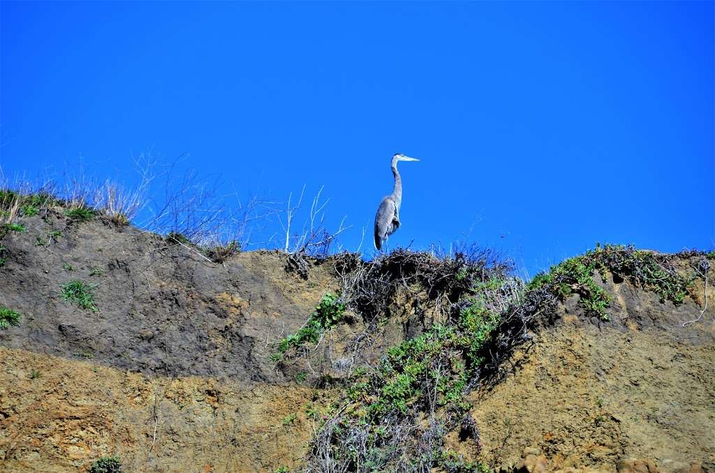 West Shoreline Access | Unnamed Road, Half Moon Bay, CA 94019