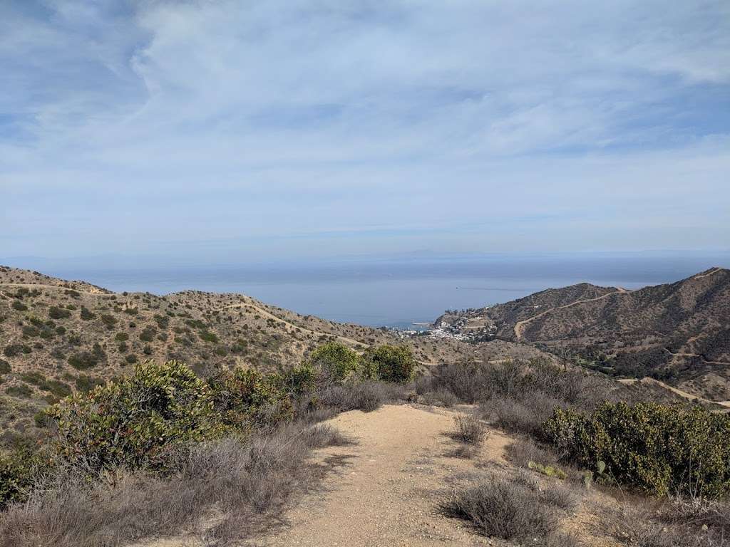 Hermit Gulch Lookout | 2983-3155 Divide Rd, Avalon, CA 90704, USA