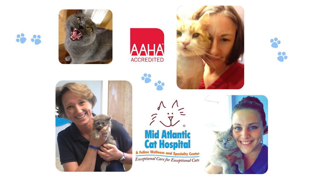 Mid Atlantic Cat Hospital | 201 Grange Hall Rd, Queenstown, MD 21658, USA | Phone: (410) 827-7788