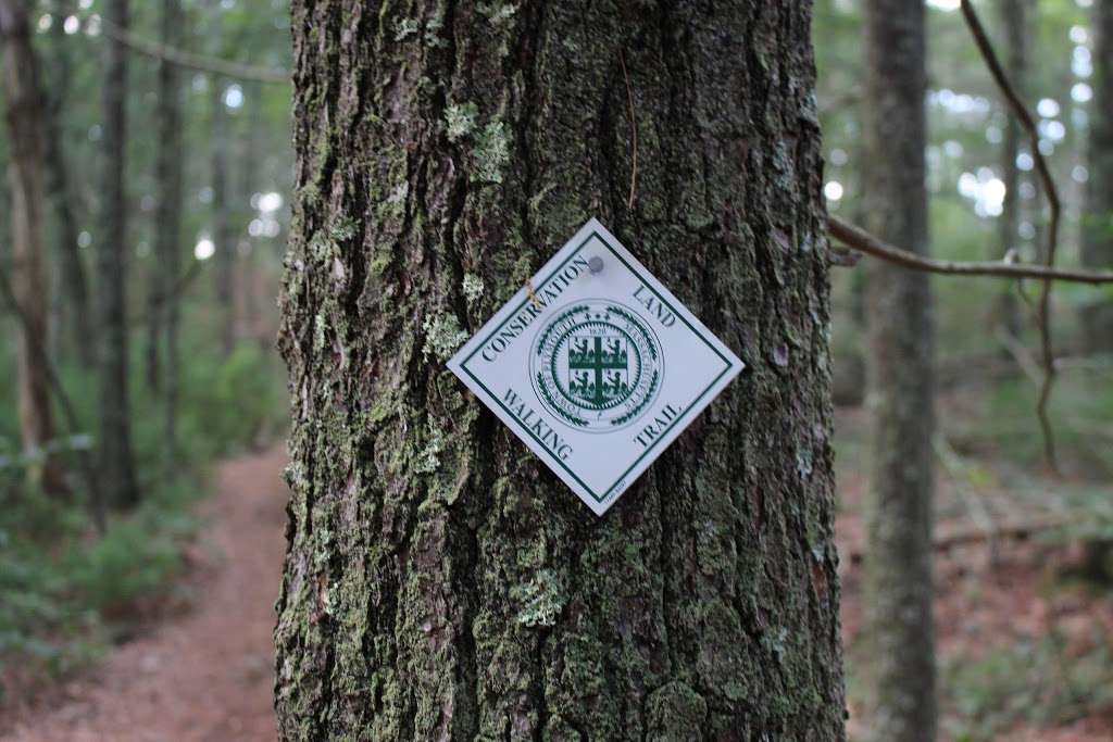 Crawley Woodlands Preserve | 331 Billington St, Plymouth, MA 02360, USA