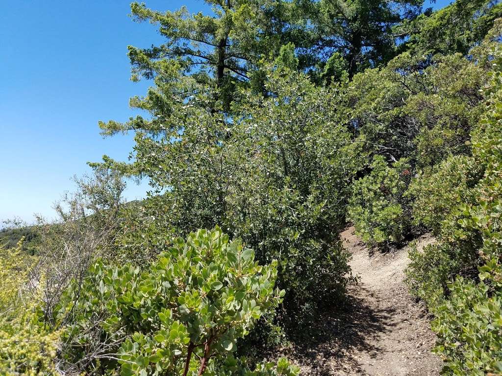 Upper Holy Jim Trail | Main Divide Rd, Corona, CA 92883, USA