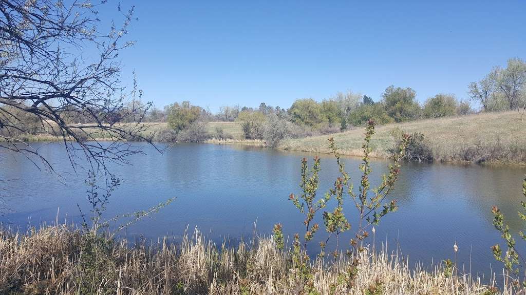 Majestic View Nature Center | 7030 Garrison St, Arvada, CO 80004, USA | Phone: (720) 898-7405