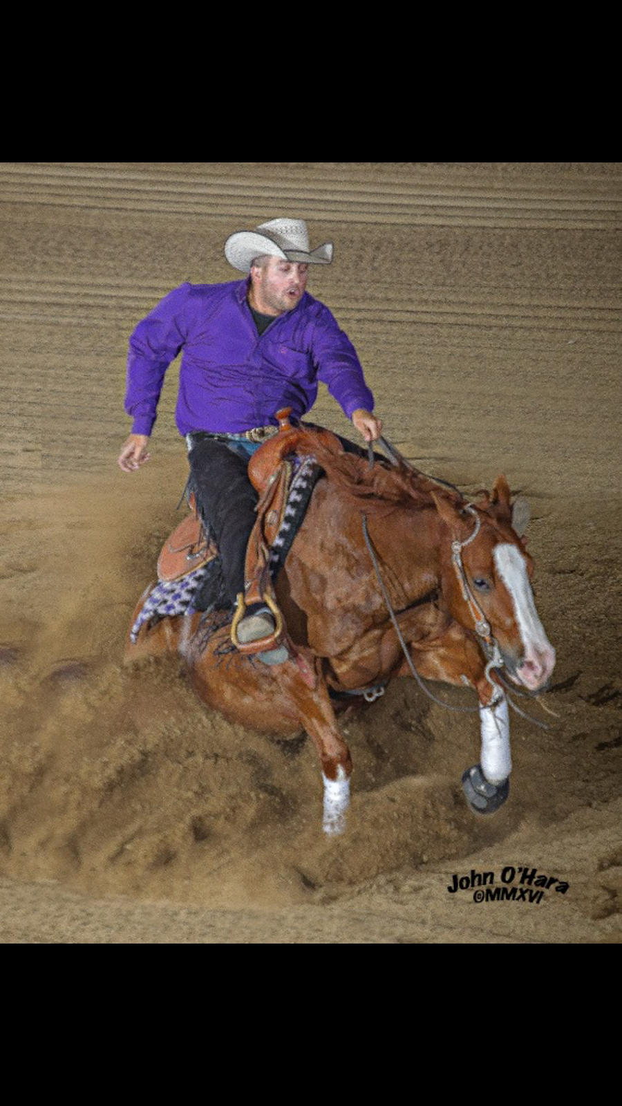 Performance Equine Nutrition | 985 Eastman Ln, Petaluma, CA 94952, USA | Phone: (707) 766-8624