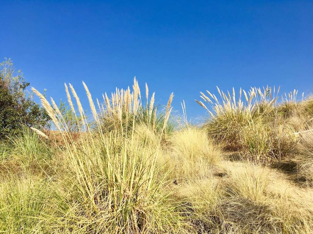 Rimcrest Trail Head | Rimcrest Dr, Yorba Linda, CA 92886, USA