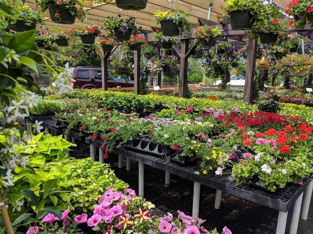 Laurel Grove Florist & Green Houses LLC | 16 High St, Port Jervis, NY 12771, USA | Phone: (845) 856-2713