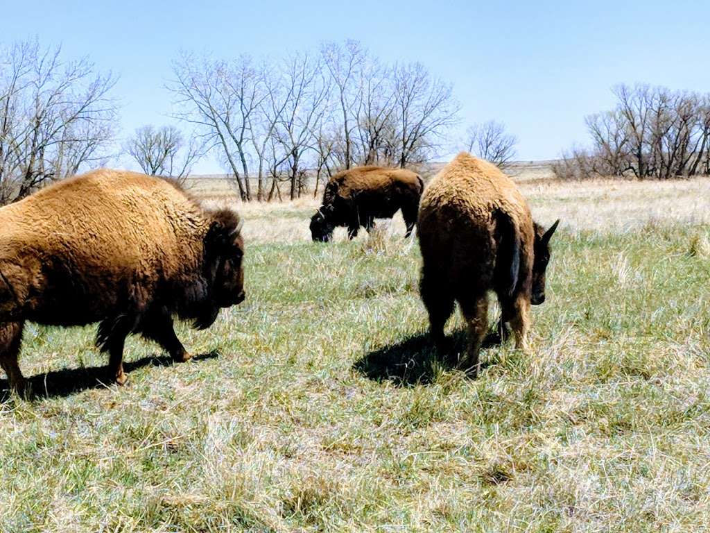 Rocky Mountain Arsenal National Wildlife Refuge | 6550 Gateway Rd, Commerce City, CO 80022 | Phone: (303) 289-0930