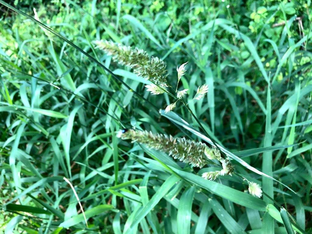 McDade Recreational Trail | McDade Recreational Trail, East Stroudsburg, PA 18302, USA