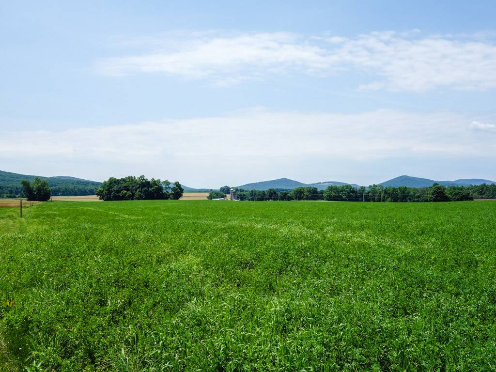 Appalachian Trail | Appalachian Trail, Boiling Springs, PA 17007, USA