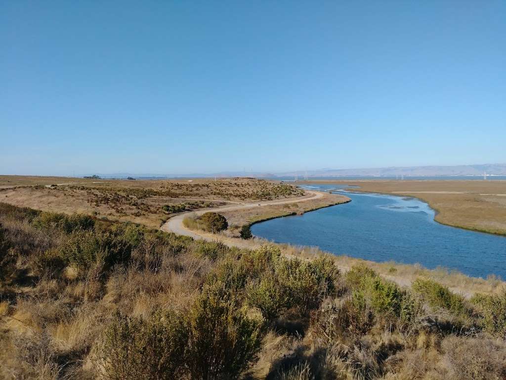 Adobe Creek Loop Trail Head | Adobe Creek Loop Trail, Palo Alto, CA 94303, USA