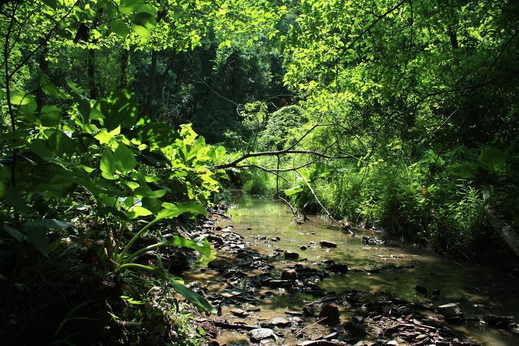 Irwin Run Conservation Area | Irwin Road, Gibsonia, PA 15044, USA | Phone: (412) 741-2750