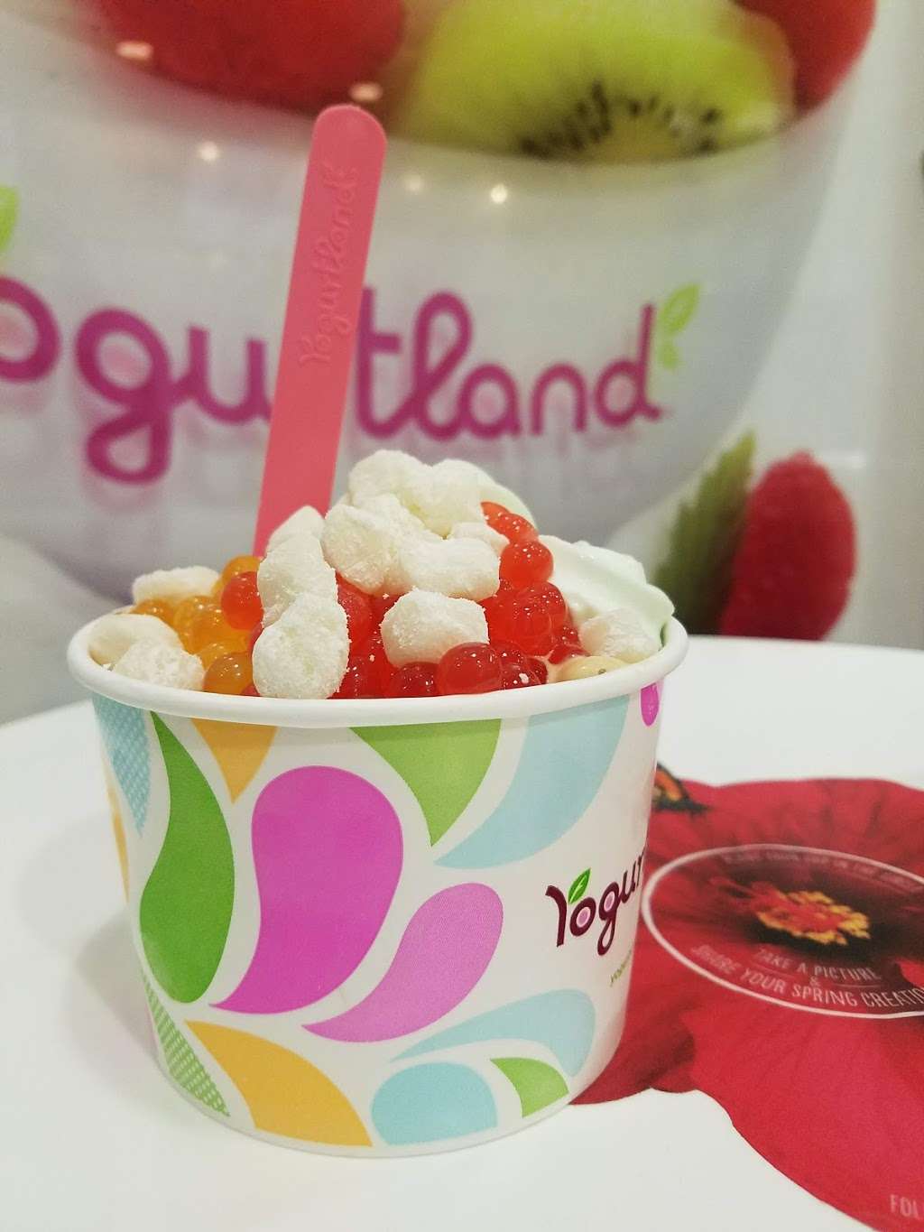 Yogurtland | 1570 Rosecrans Ave ste m, Manhattan Beach, CA 90266 | Phone: (310) 536-9562