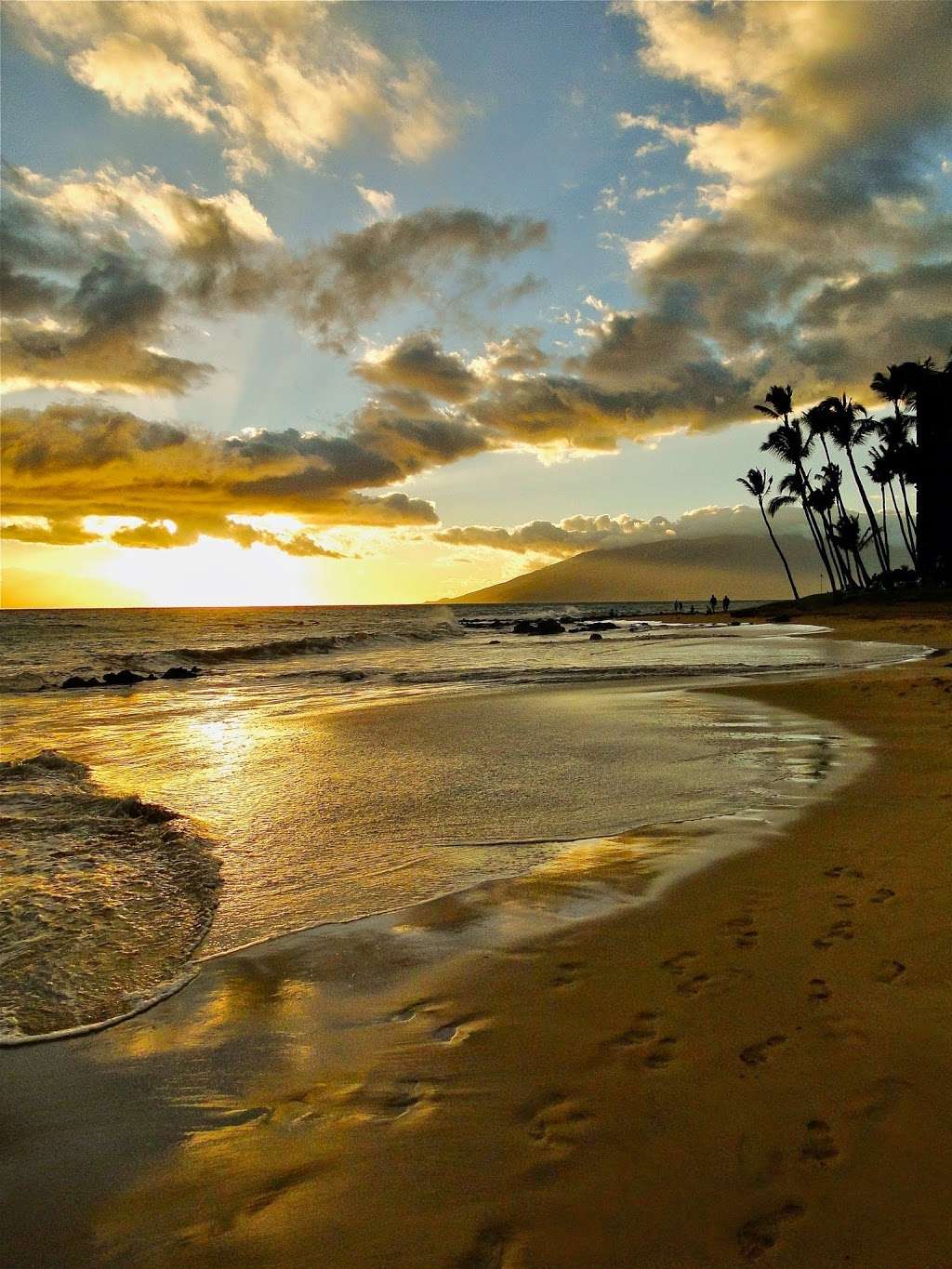 Maui Vacation Condo Rentals | 281 Lowell St, Redwood City, CA 94062, USA | Phone: (650) 365-1875