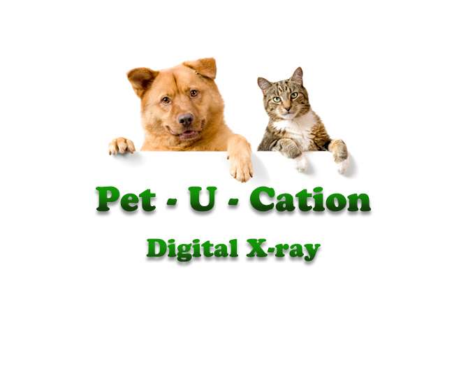 Animal Clinic of Hammonton | 900 12th St #1, Hammonton, NJ 08037, USA | Phone: (609) 878-3725