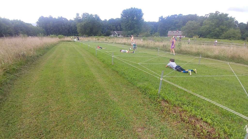 Tardigrade Obstacle Course Racing | 11315 Old Cordova Rd, Cordova, MD 21625, USA | Phone: (410) 829-6608