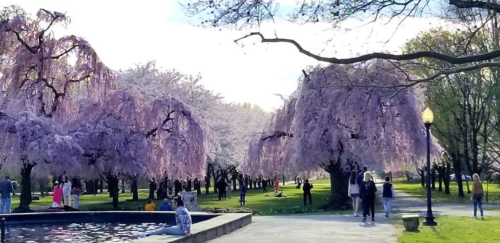 Centennial Arboretum | Montgomery Dr, Philadelphia, PA 19131, USA | Phone: (215) 685-0096