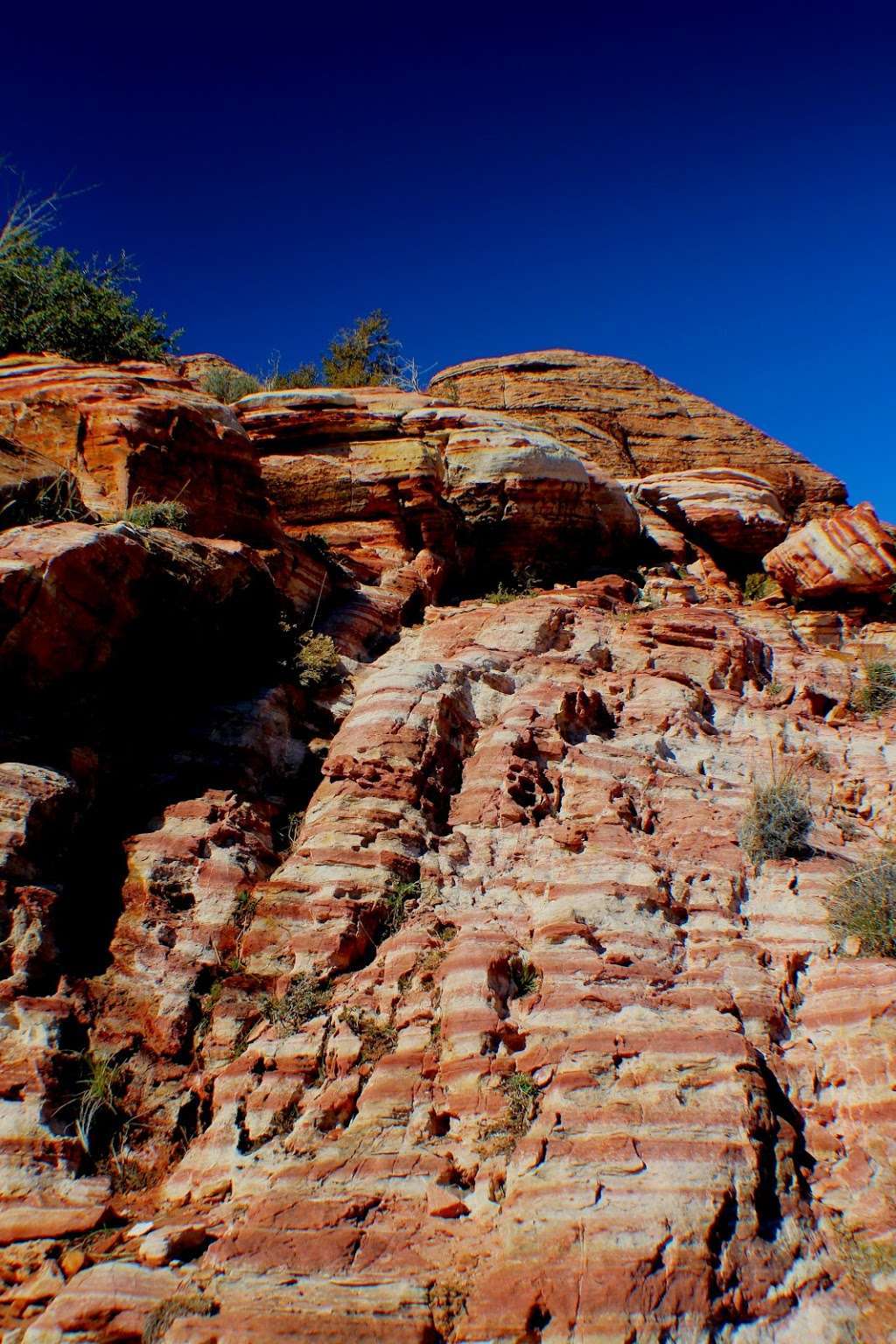 Calico Basin Trail | Calico Basin Rd, Las Vegas, NV 89161, USA | Phone: (702) 515-5350