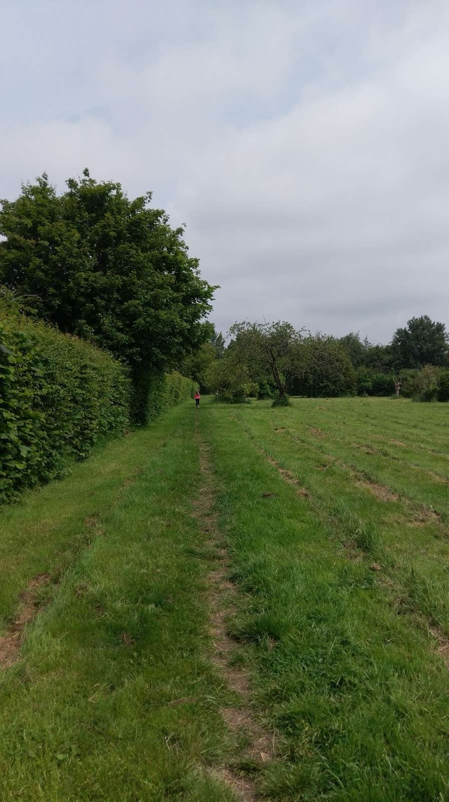 Macey's Meadow in Norman Road, C/O West Malling Parish Council, West ...