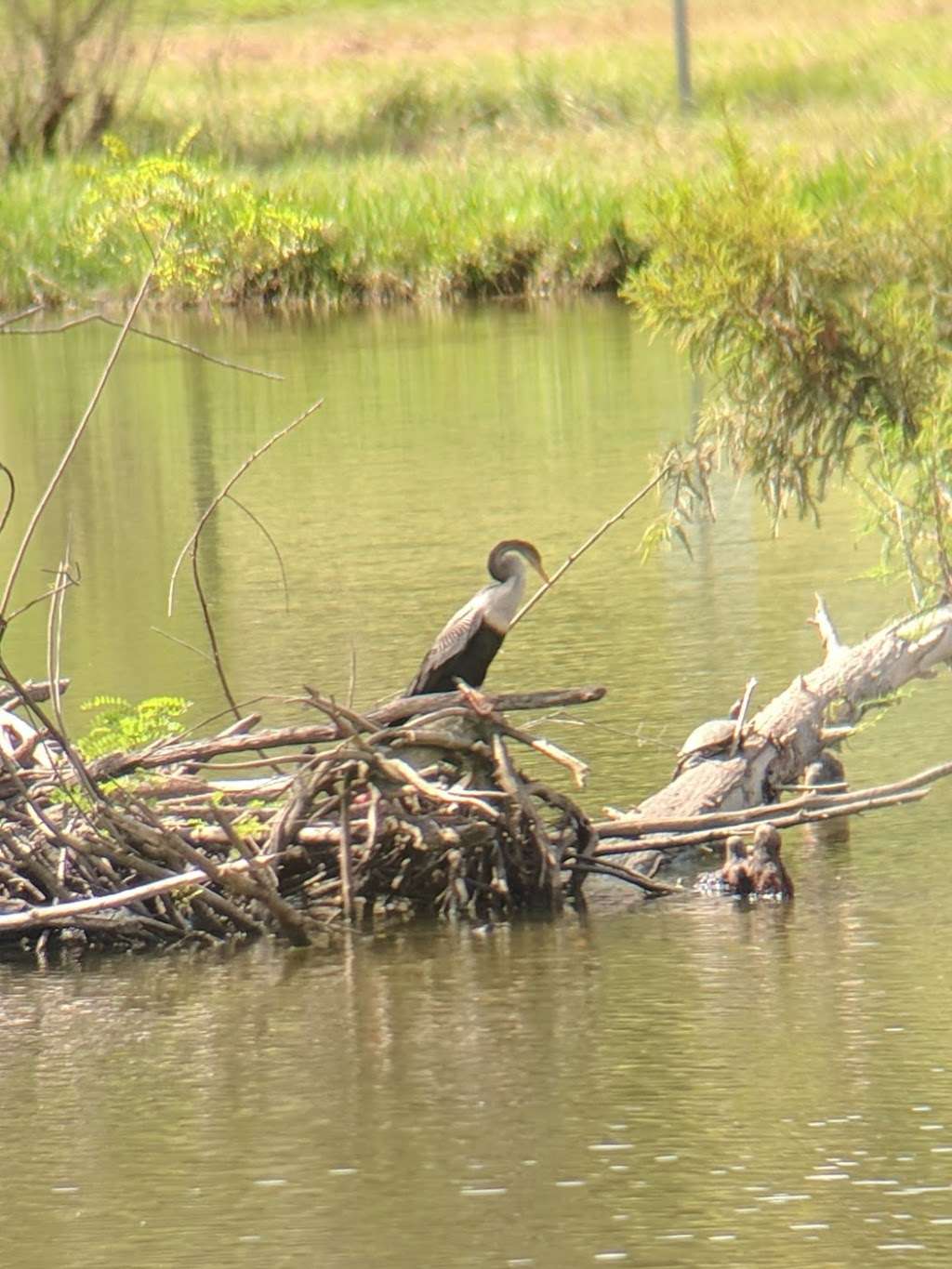 Keith-Wiess Park | 12300 Aldine Westfield Rd, Houston, TX 77093, USA | Phone: (832) 394-8805