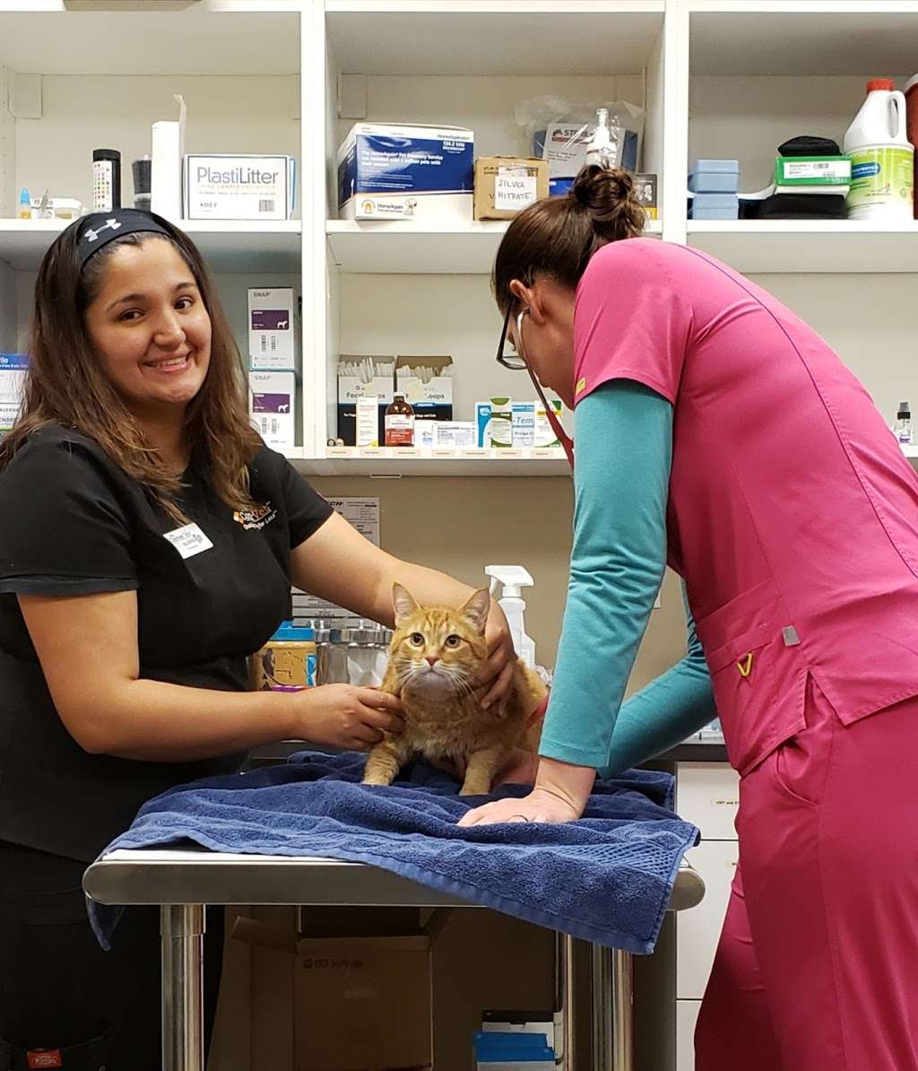 The Corner Vet | 1820 Coit Rd #105, Plano, TX 75075 | Phone: (469) 331-8580