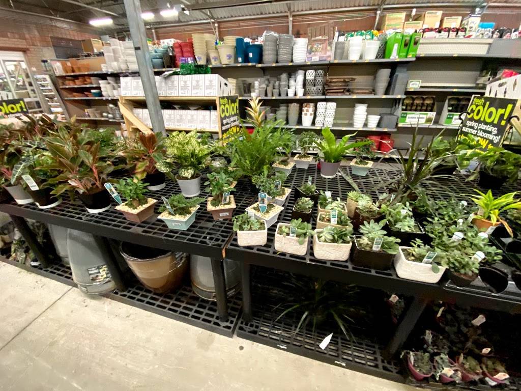 Walmart Garden Center | 11400 W Broad St Rd, Glen Allen, VA 23060 | Phone: (804) 360-9777