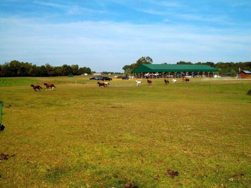 Mephibosheth Farms Angelic Riders | 820 Forest Hills School Rd N, Marshville, NC 28103, USA | Phone: (704) 233-9277