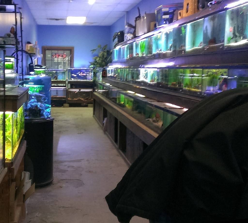 Azalea Aquariums | 5112 Richmond Henrico Turnpike A, Richmond, VA 23227, USA | Phone: (804) 329-5126