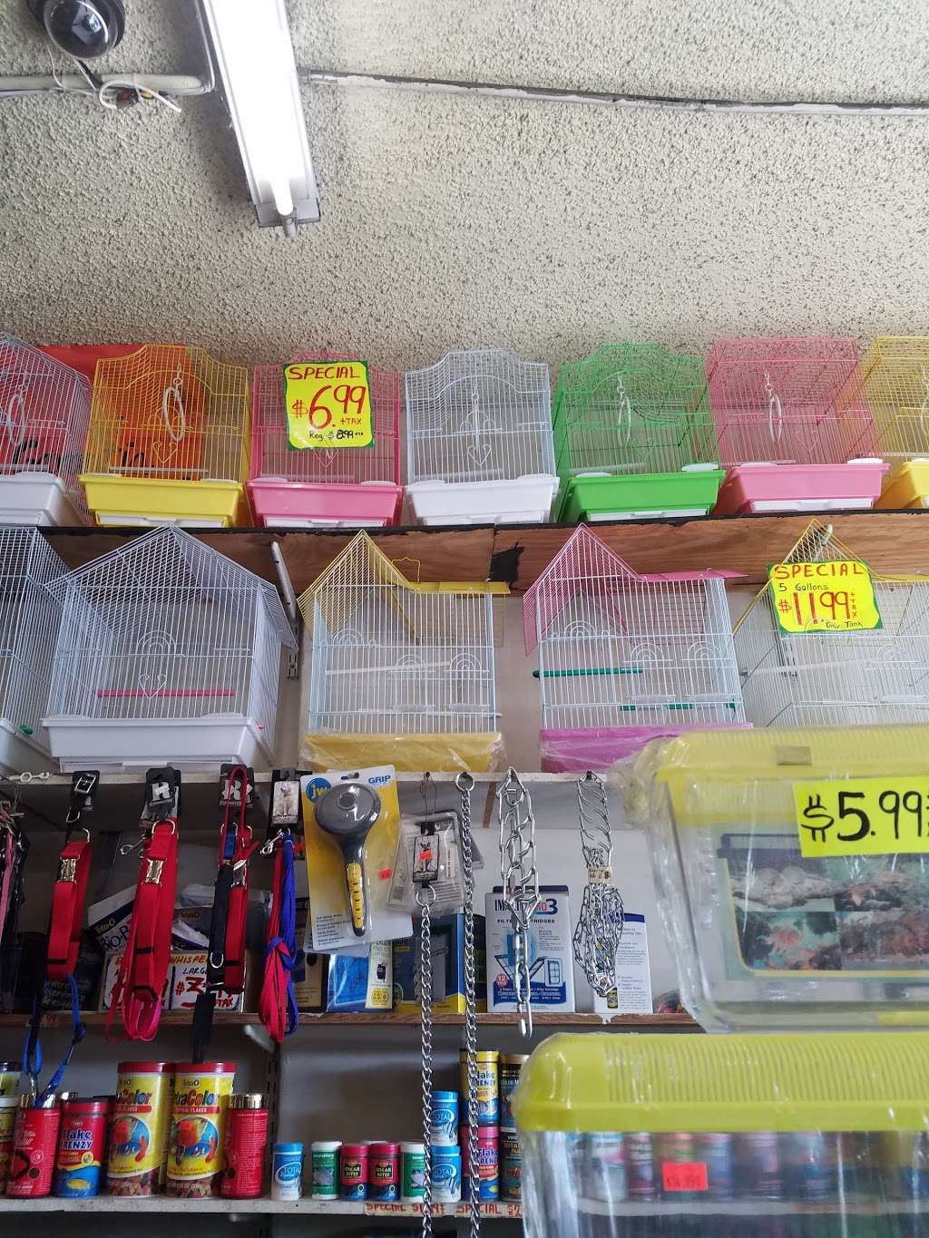 Ramirez Pet Shop | 1741 Firestone Blvd, Los Angeles, CA 90001, USA | Phone: (323) 582-9188 Ramirez Pet Shop | 1741 Firestone Blvd, Los Angeles, CA 90001, USA | Phone: (323) 582-9188