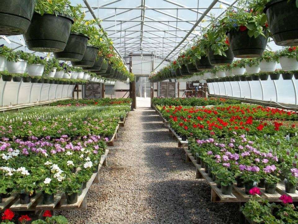 Winding Creek Nursery & Garden Center | 8241 Millbrook Rd, Millbrook, IL 60536, USA | Phone: (630) 553-7211