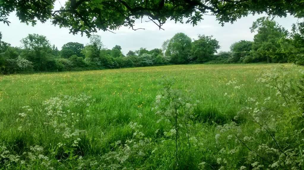 National Trust - Morven Park | Hatfield Rd, Potters Bar EN6 1HS, UK