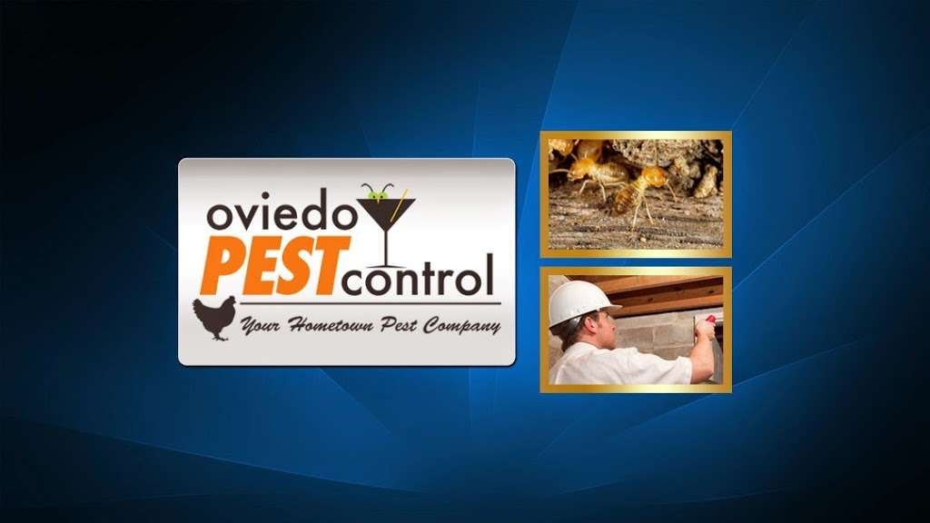 Oviedo Pest Control | 801 Eyrie Dr, Oviedo, FL 32765 | Phone: (407) 545-6770