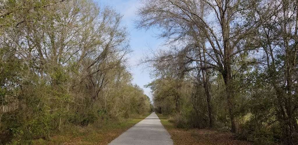 Van Fleet Trail - Bay Lake Trailhead | Van Fleet Trail, Groveland, FL 34736, USA