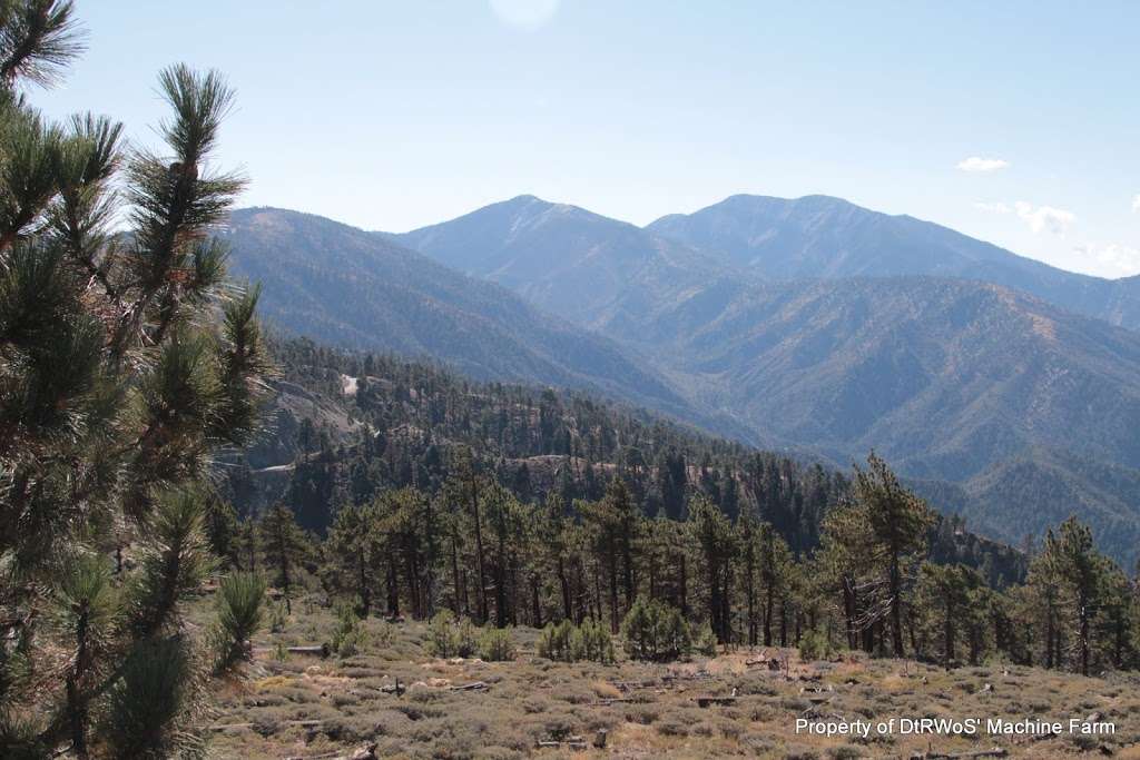 Jackson Flat Group Campground | Angeles Crest Hwy, Wrightwood, CA 92397, USA | Phone: (626) 574-1613