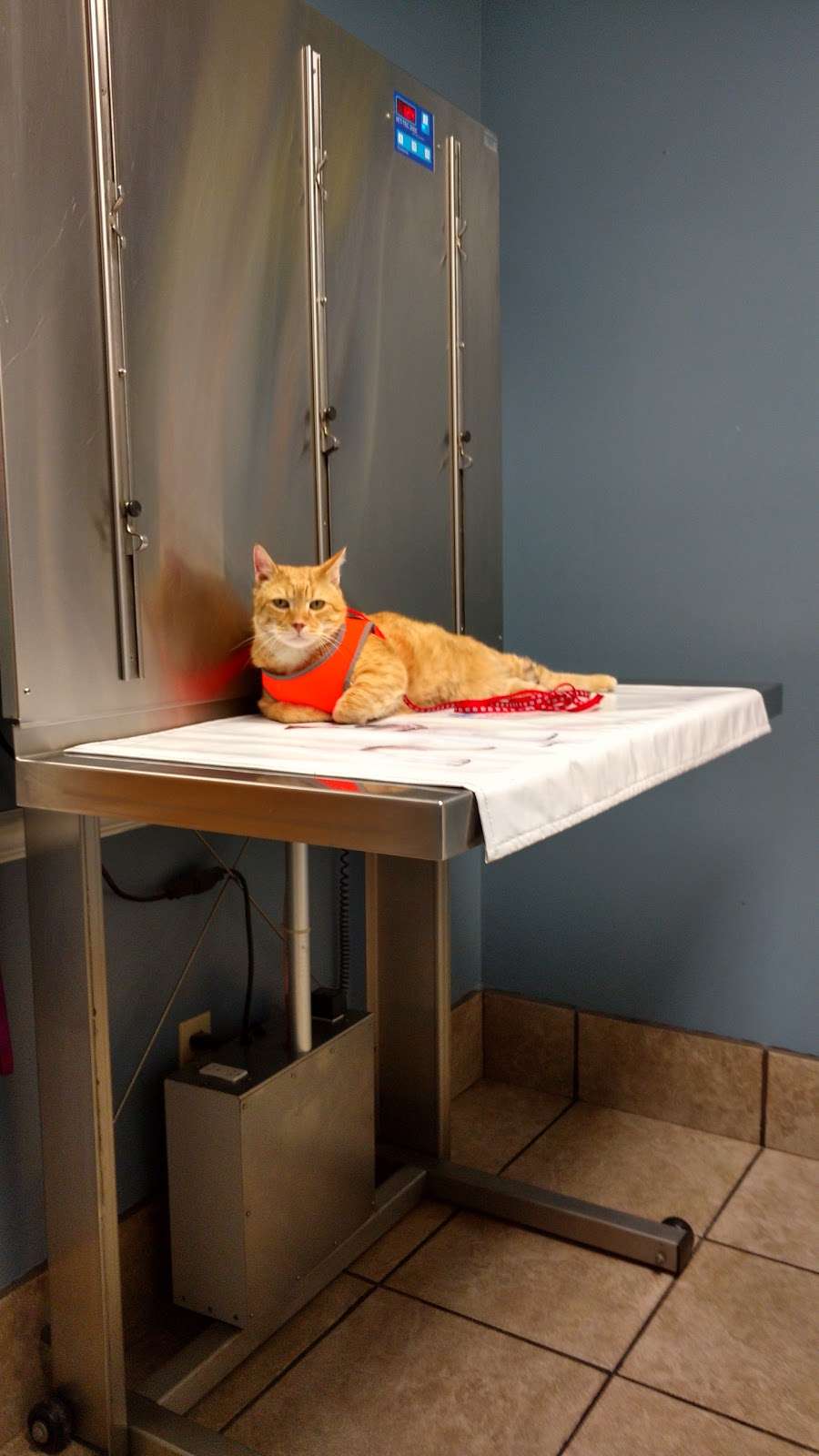 Berwick Veterinary Care Center | 363 Bowers Rd, Berwick, PA 18603, USA | Phone: (570) 759-1441