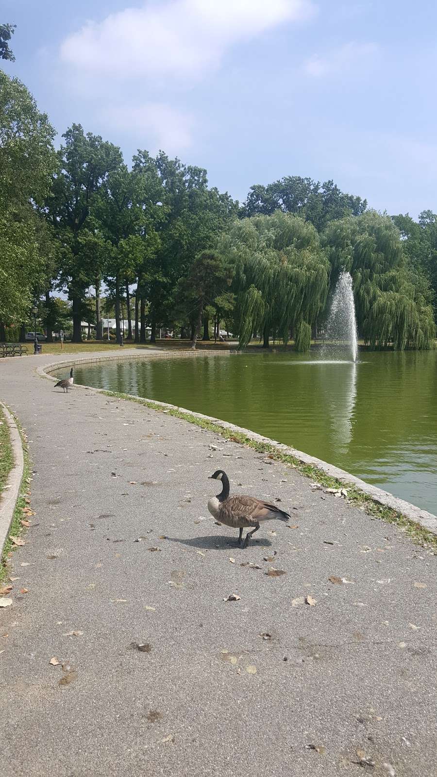 Bowne Park | 29th Ave. & 157th St, Flushing, NY 11354, USA | Phone: (212) 639-9675