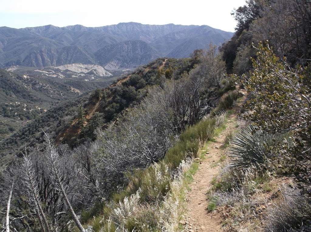 Chorro Grande Trail | Maricopa, CA 93252, USA