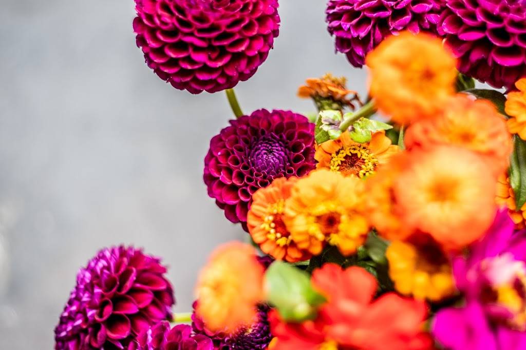 Beet & Yarrow Florist, Denver Flower Delivery and Flower Shop | 3330 Brighton Blvd #205, Denver, CO 80216, USA | Phone: (720) 934-6438