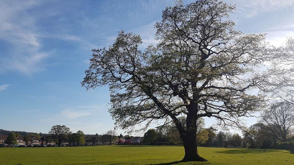 Parkfields Recreation Ground | 66 Cheston Ave, Croydon CR0 8DB, UK | Phone: 020 8726 6900