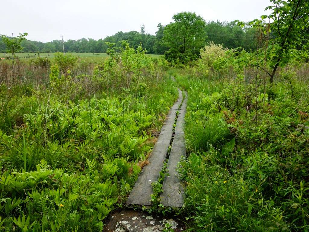 Appalachian Trail | Goldsmith Rd, Wantage, NY 07461, USA