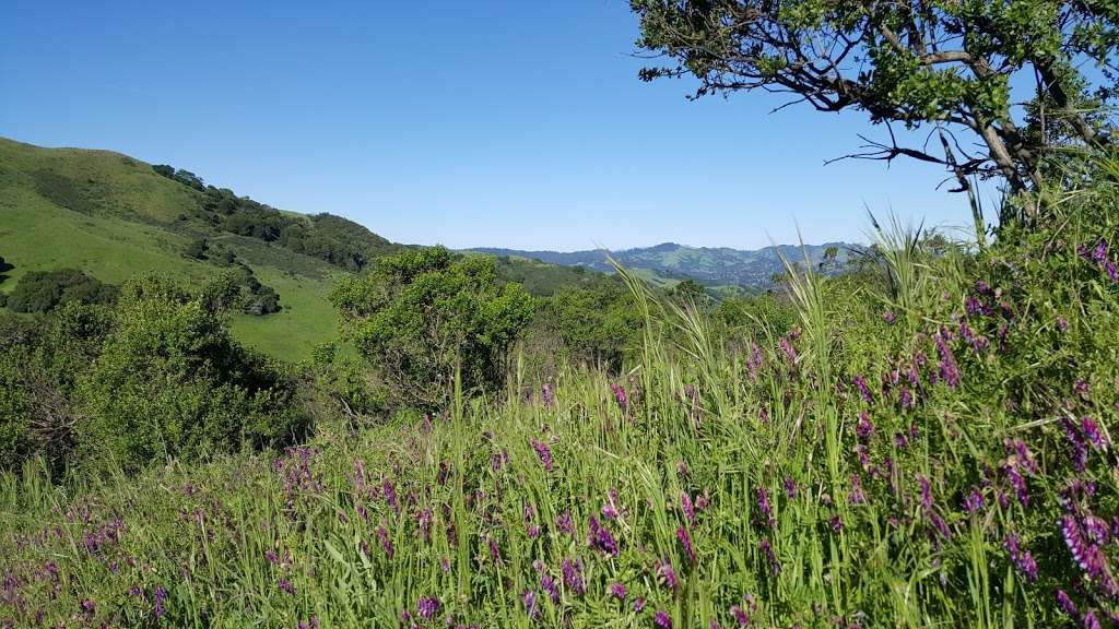 Las Trampas Regional Wilderness | Bollinger Canyon Rd, San Ramon, CA 94583, USA | Phone: (510) 544-3276